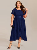 Plus Size Lace Empire Waist A-Line Formal Dress