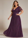 Plus Size Empire Waist Pleated A-Line Formal Evening Dress