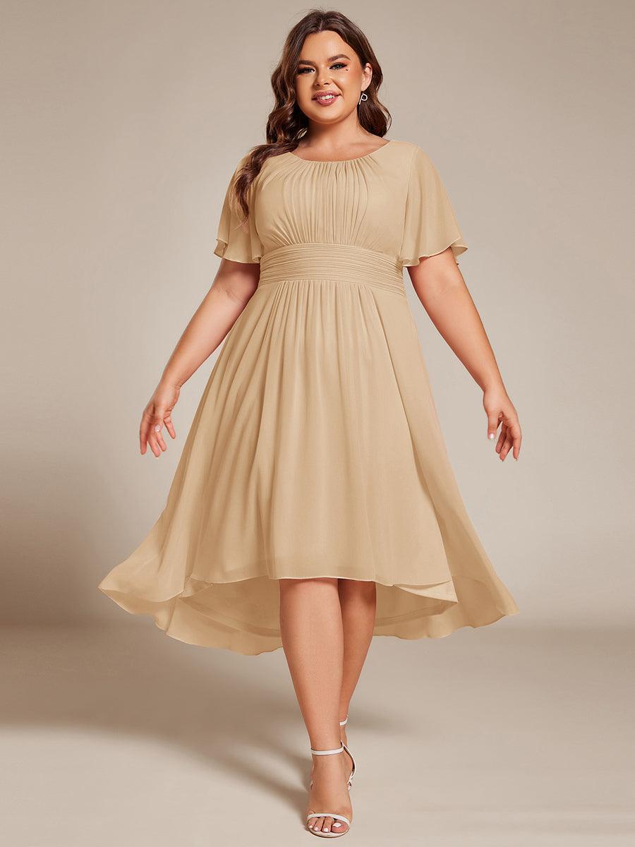 Plus Size Pleated A-Line Chiffon Wedding Guest Dress