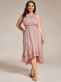 Plus Size Halter Sleeveless Pleated A-Line Wedding Guest Dress