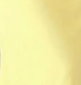 yellow dc9dcb89 ab52 4388 b3a9 15f10cf68617